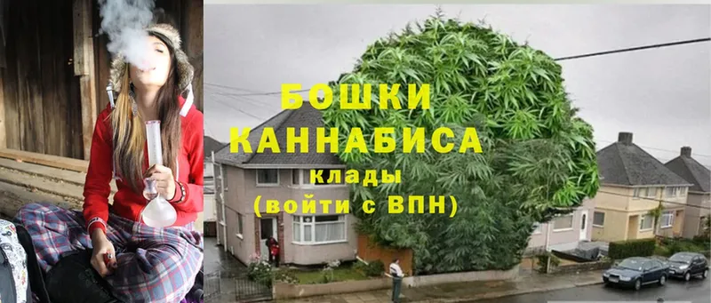 где найти наркотики  Красный Кут  Каннабис конопля 